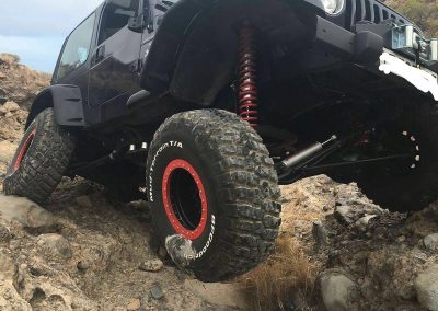 TERRANORTE AUTOMOTIVE